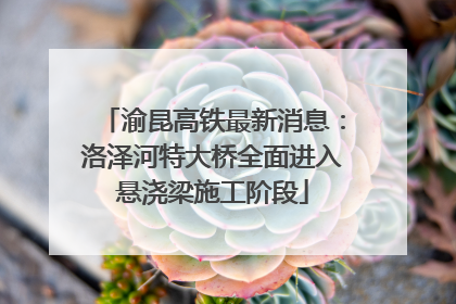 渝昆高铁最新消息：洛泽河特大桥全面进入悬浇梁施工阶段