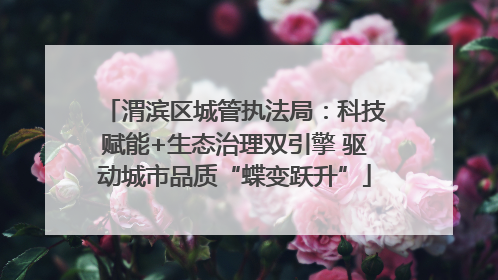 渭滨区城管执法局：科技赋能+生态治理双引擎 驱动城市品质“蝶变跃升”