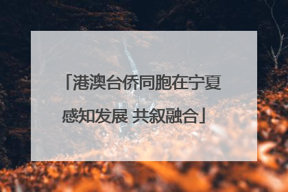 港澳台侨同胞在宁夏感知发展 共叙融合