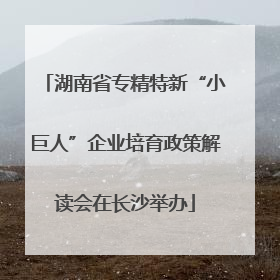 湖南省专精特新“小巨人”企业培育政策解读会在长沙举办