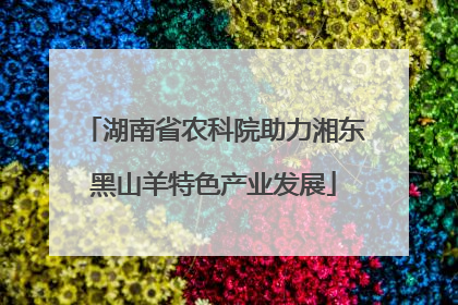 湖南省农科院助力湘东黑山羊特色产业发展