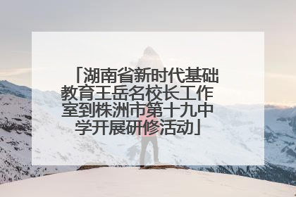 湖南省新时代基础教育王岳名校长工作室到株洲市第十九中学开展研修活动