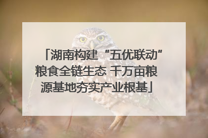 湖南构建“五优联动”粮食全链生态 千万亩粮源基地夯实产业根基