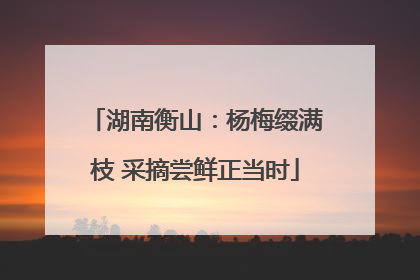 湖南衡山：杨梅缀满枝 采摘尝鲜正当时