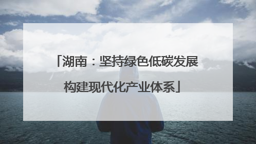 湖南：坚持绿色低碳发展 构建现代化产业体系