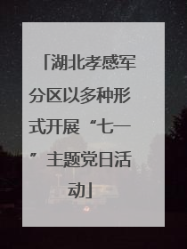 湖北孝感军分区以多种形式开展“七一”主题党日活动
