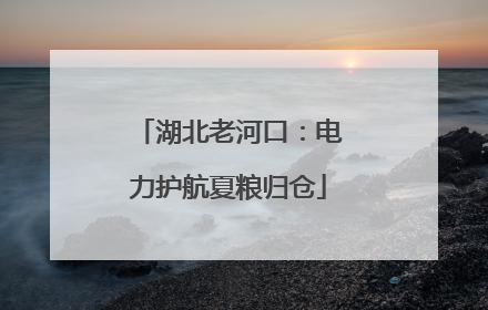 湖北老河口：电力护航夏粮归仓