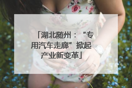 湖北随州：“专用汽车走廊”掀起产业新变革
