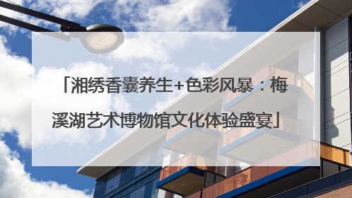 湘绣香囊养生+色彩风暴：梅溪湖艺术博物馆文化体验盛宴