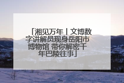 湘见万年丨文博数字讲解员现身岳阳市博物馆 带你解密千年巴陵往事