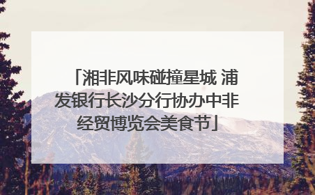湘非风味碰撞星城 浦发银行长沙分行协办中非经贸博览会美食节