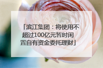 滨江集团：将使用不超过100亿元暂时闲置自有资金委托理财