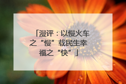漫评：以慢火车之“慢”载民生幸福之“快”