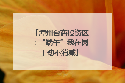 漳州台商投资区：“端午”我在岗 干劲不消减