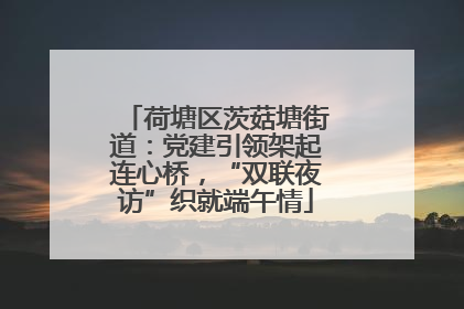 荷塘区茨菇塘街道：党建引领架起连心桥，“双联夜访”织就端午情