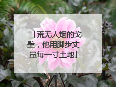 荒无人烟的戈壁，他用脚步丈量每一寸土地