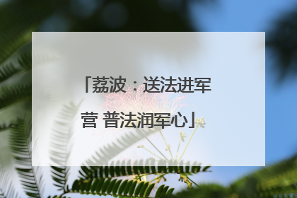 荔波：送法进军营 普法润军心