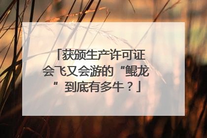 获颁生产许可证 会飞又会游的“鲲龙”到底有多牛？