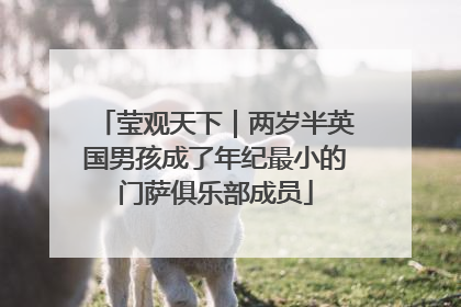 莹观天下｜两岁半英国男孩成了年纪最小的门萨俱乐部成员