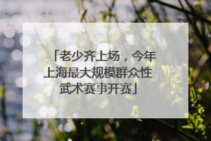 老少齐上场，今年上海最大规模群众性武术赛事开赛
