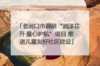 老河口市调研“润泽花开·童心护航”项目 推进儿童友好社区建设