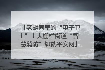老胡同里的“电子卫士”！大栅栏街道“智慧消防”织就平安网