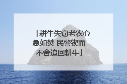 耕牛失窃老农心急如焚 民警锲而不舍追回耕牛