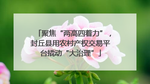 聚焦“两高四着力”，封丘县用农村产权交易平台撬动“大治理”