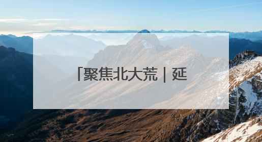 聚焦北大荒｜延军农场：飞防出击 “一喷多效”