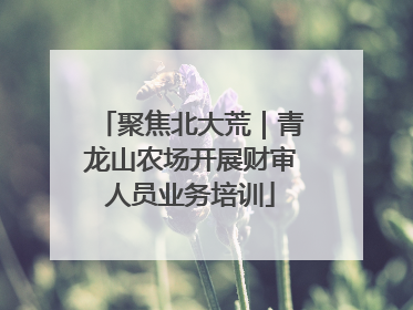 聚焦北大荒｜青龙山农场开展财审人员业务培训