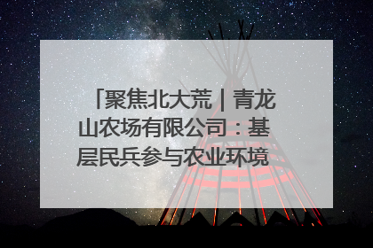 聚焦北大荒｜青龙山农场有限公司：基层民兵参与农业环境综合治理显效