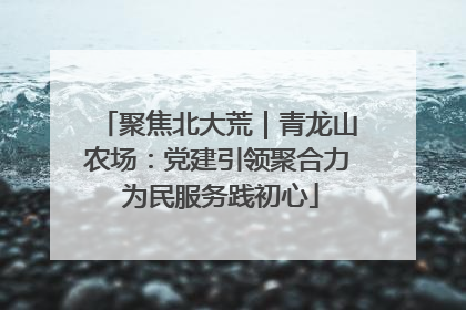 聚焦北大荒｜青龙山农场：党建引领聚合力 为民服务践初心