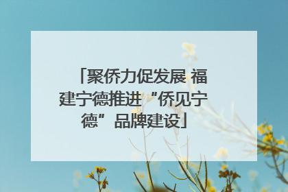 聚侨力促发展 福建宁德推进“侨见宁德”品牌建设