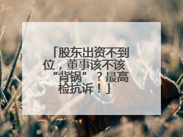 股东出资不到位，董事该不该“背锅”？最高检抗诉！