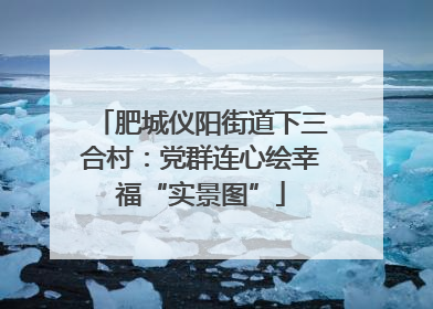 肥城仪阳街道下三合村：党群连心绘幸福“实景图”