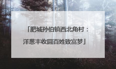肥城孙伯镇西北角村：洋葱丰收圆百姓致富梦