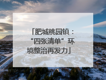 肥城桃园镇：“四张清单”环境整治再发力