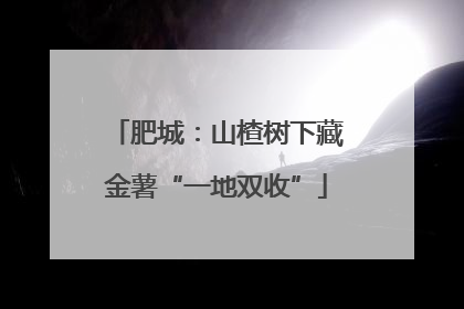 肥城：山楂树下藏金薯“一地双收”