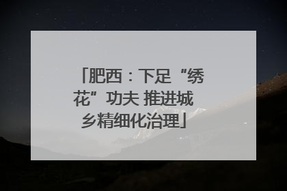 肥西：下足“绣花”功夫 推进城乡精细化治理