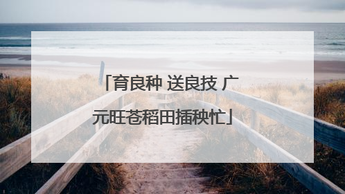 育良种 送良技 广元旺苍稻田插秧忙
