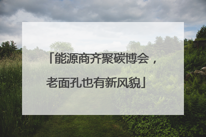 能源商齐聚碳博会，老面孔也有新风貌