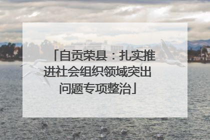 自贡荣县：扎实推进社会组织领域突出问题专项整治