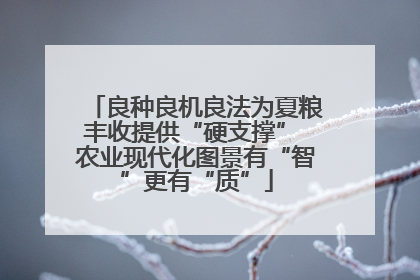 良种良机良法为夏粮丰收提供“硬支撑” 农业现代化图景有“智”更有“质”