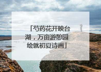 芍药花开映台湖，万亩游憩园绘就初夏诗画