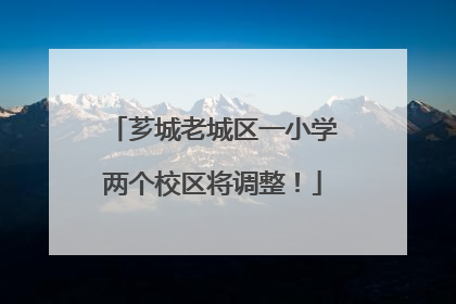 芗城老城区一小学两个校区将调整！