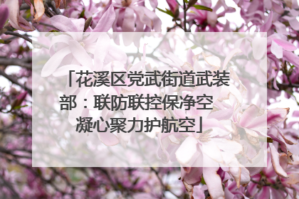 花溪区党武街道武装部：联防联控保净空 凝心聚力护航空