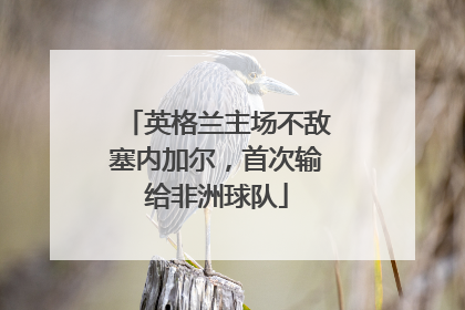 英格兰主场不敌塞内加尔，首次输给非洲球队
