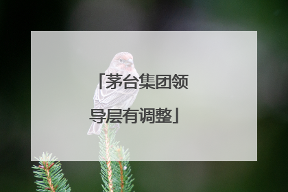 茅台集团领导层有调整