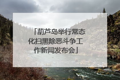 葫芦岛举行常态化扫黑除恶斗争工作新闻发布会