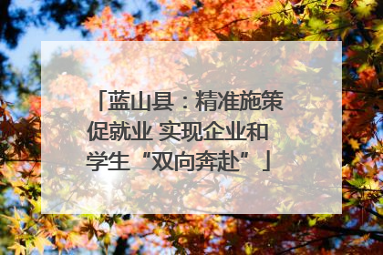 蓝山县：精准施策促就业 实现企业和学生“双向奔赴”